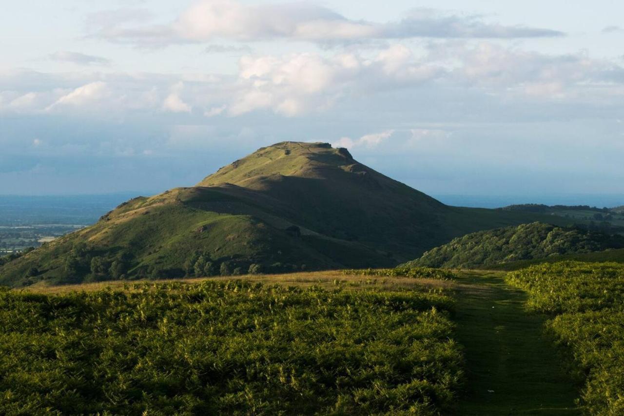 Nest Holiday Hideaway Wren Cottage Stunning Area! Church Stretton Buitenkant foto
