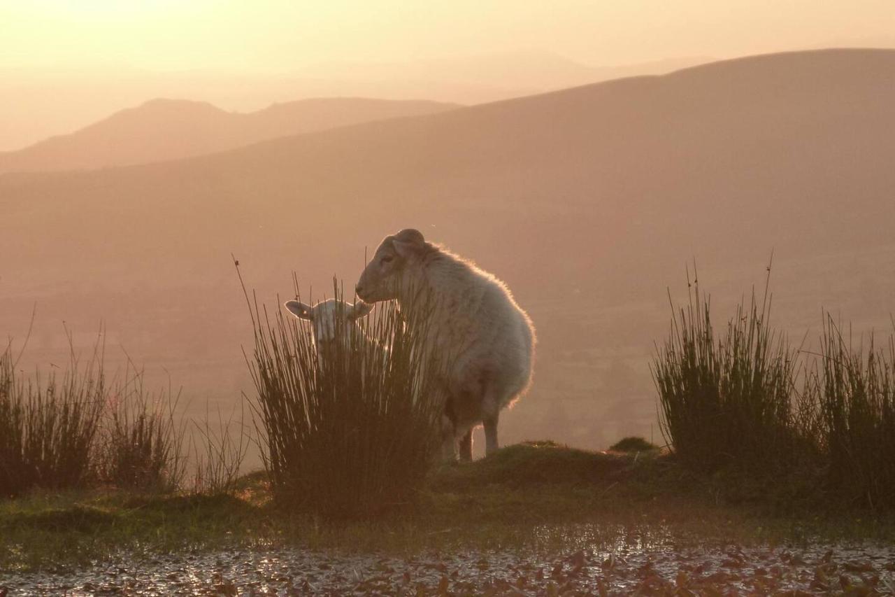 Nest Holiday Hideaway Wren Cottage Stunning Area! Church Stretton Buitenkant foto